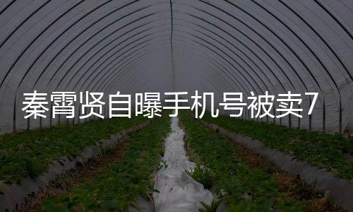 被卖打电骂秦霄贤自曝手曾被元 黑粉话谩机号