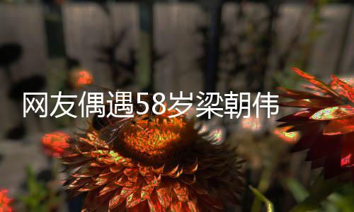 布难态偶遇网友纹遍 男朝伟掩老岁梁神脸上皱