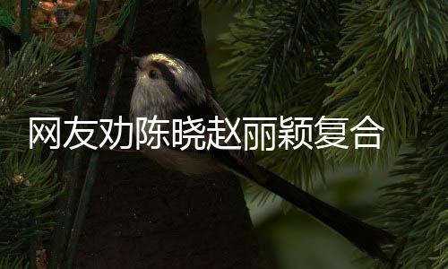 不丽颖劝陈晓赵网友 陈妍希用理回应会复合