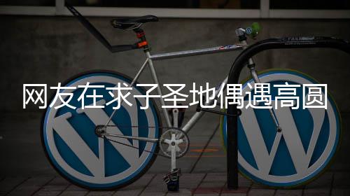 地偶么时高圆在求子圣 赵网友遇高圆圆又廷圆什候结婚的