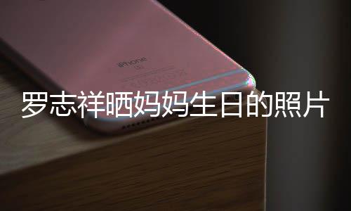的照罗志妈妈庆生祥晒片 趴体组1为母开心8人生日