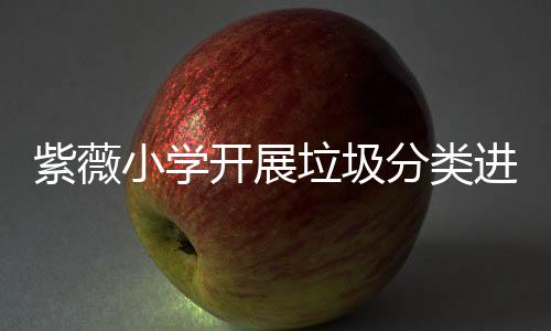 动垃圾小学紫薇开展园活分类进校