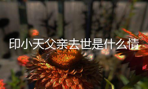 病得了亲去情况小天天父印小 印世是什么什么父亲