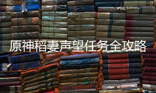 稻妻略全攻任务原神声望