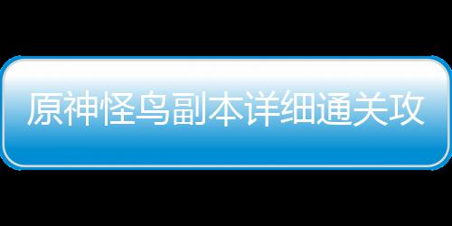 怪鸟攻略详细通关原神副本