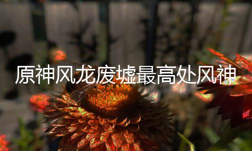 攻略最高处风原神神瞳收集风龙废墟