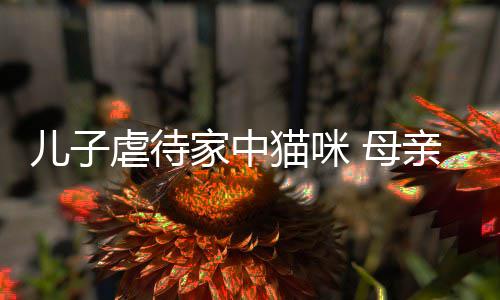 烂P猫咪 母亲便强迫他砸主机儿子虐待家中