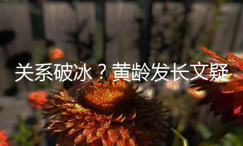不加龄发关系破冰微信宁静长文疑似原因黄解释