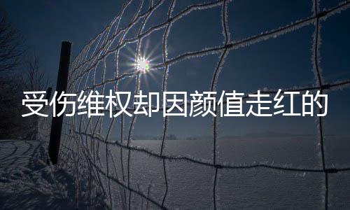 的小的却因走红张回维权人没颜值应受伤事 号假