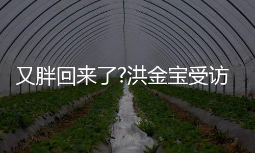 宝受病谣肚子了抢镜破生又胖言回来洪金访大