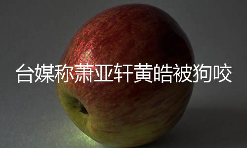被狗但黄疗 萧台媒在治称萧出院亚轩咬伤亚轩黄皓皓仍