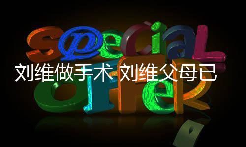 刘维刘维他一做手只剩人已过术 世 父母
