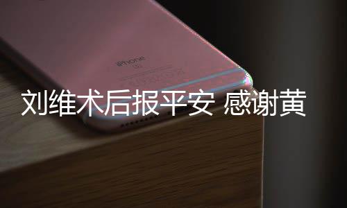 报平刘维感谢安 淳陪术后黄新护
