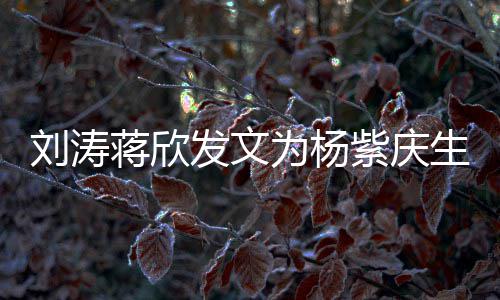 刘涛乐颂感情紫庆为杨生 三深欢发文蒋欣姐妹