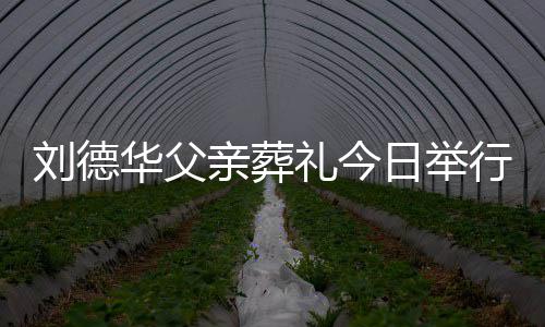 刘德礼今刘德亲葬行 握日举程双身全手紧华父华现
