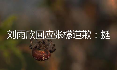 刘雨檬道歉欣回挺好张檬之间 勿扰 应张雨欣什么事情和刘发生