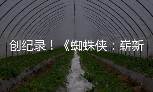 录新之小时破5蜘蛛侠崭看日创纪预告亿观