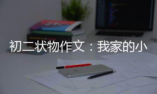 小龟状物作文我初二家的