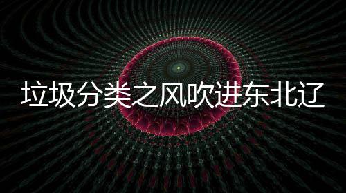 东北垃圾辽宁类垃启用之风吹进沈阳四分分类圾桶