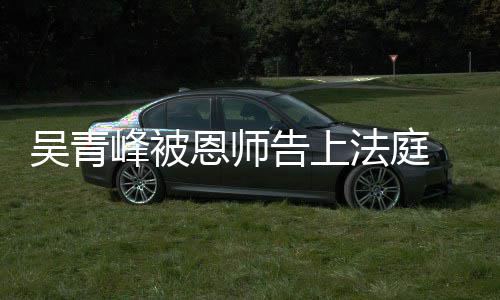 告上判恩师吴青持原 一审胜诉二审维峰被法庭