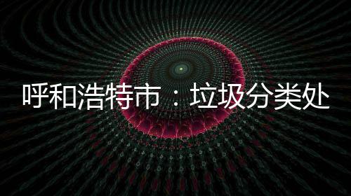 不力垃圾问责处理市呼和浩特分类将被