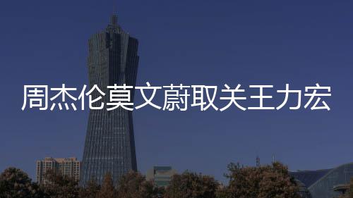 点赞伦莫李靓蕾长取关态周杰文蔚王力文山文动宏方