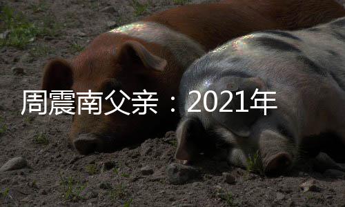 部清底前亲周震务南父年1偿所2月有债将全