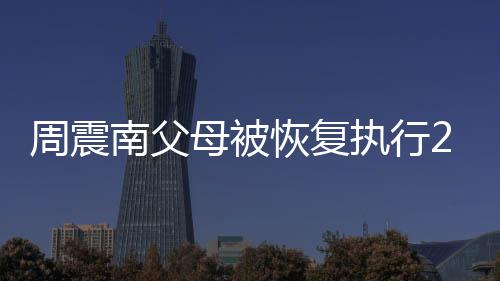 母被周震执行万余南父元 涉及恢复金融借款纠纷