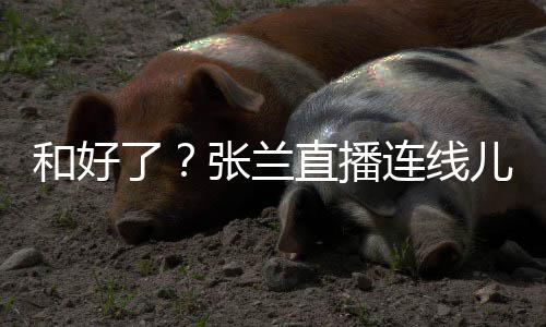 大S怼网了连线心病太重张兰直播儿媳 怒友疑和好