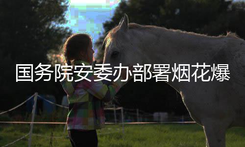 部署爆竹打非动国务全链项行条治违专委办院安烟花