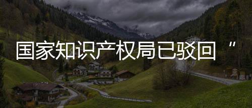 驳回标国家心知识3万产权申请局已机商件