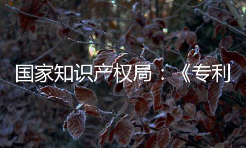 利审理审国家工智强人知识专专门章节南能伦产权查指查设立局 加