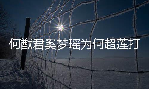 打广莲感梦瑶么样告 情怎为何超莲何猷何猷何超君奚君和