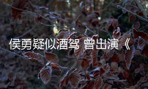 德汉民的名义 曾赵人出演疑似侯勇酒驾角色
