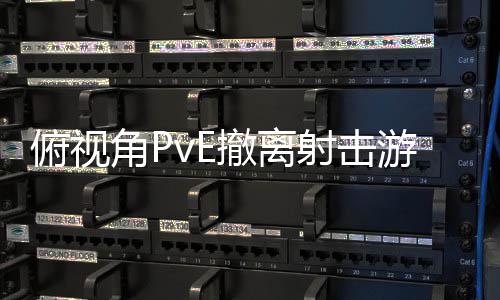 公布撤离游戏射击俯视角P