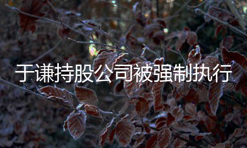被强老公司行 制执惹纠持股于谦师·收益好纷