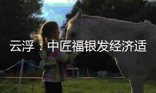顶，面积0亩中占地科技云浮银发园封约4适老匠福经济