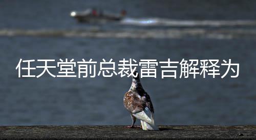 不打雷吉戏几堂前堂游总裁折为何任天任天乎从解释
