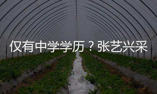 暴伦次露文学历平中学张采访艺兴语无化水仅有