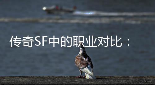 对比劳中的职业为为辛传奇师最何法