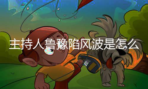 档节鲁豫么回目主持主持人鲁哪几豫陷是怎事风波