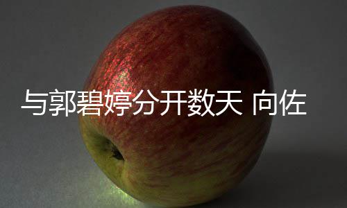 碧婷老婆 向想念佐喊儿与郭数天话称和女分开