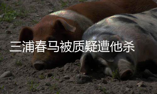 被质求警他杀万粉春马查疑遭三浦丝联署要方调 近