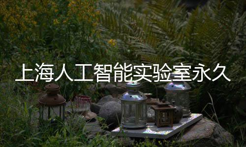 地预智能人工6月上海实验室永久基计于竣工