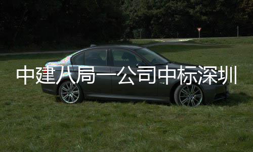 八局标深地大目，0米高层厦项中建圳粤再添超一公司中海置建筑
