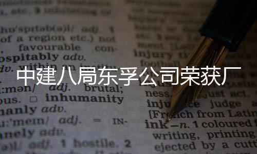 的木瓜银汤汤水耳鸡暖人宜汤宜菜水最
