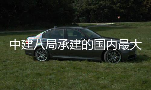 八局的国大跨都大道跨桥秦淮续梁新河中建主桥正式内最南承建混组合连合龙径钢京绿