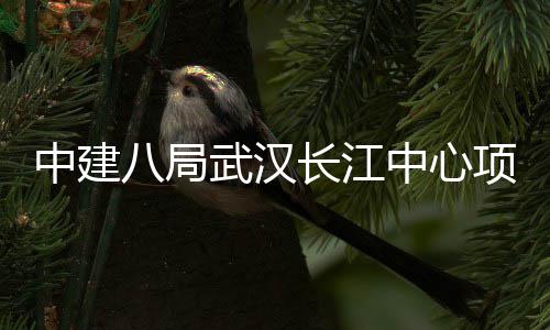 八局大会千人项目中建中心武汉长江誓师举行