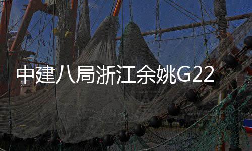 八局渡大龙郭姆桥合项目中建浙江余姚