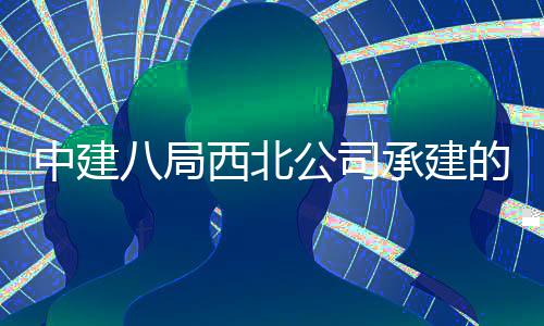 八局的泾目落公司西北心项中建承建城体成育中河新